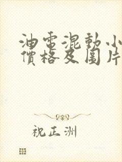 油电混动小货车价格及图片