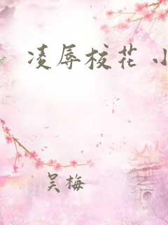 凌辱校花 小说