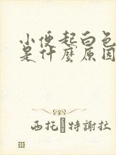 小便起白色泡沫是什么原因
