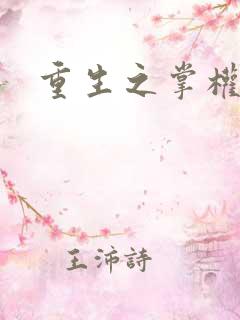 重生之掌权天下