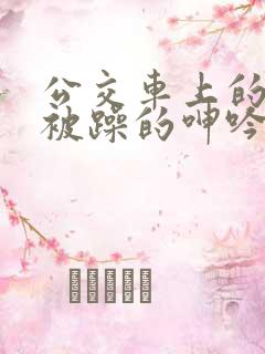公交车上的女人被躁的呻吟