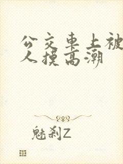 公交车上被陌生人摸高潮