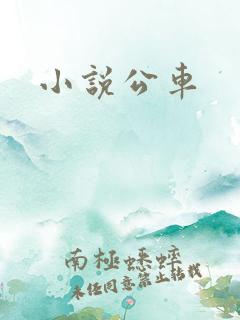 小说公车
