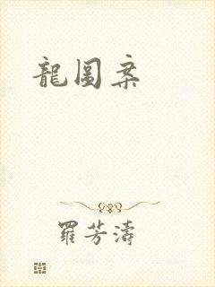 龙图案