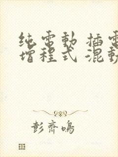 纯电动 插电式增程式 混动都上什么牌照