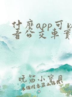 什么app可以看公交车实时位置