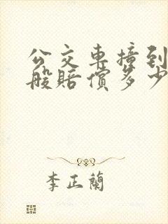 公交车撞到人一般赔偿多少