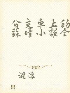 公交车上的妈妈苏晴小说全文阅读下