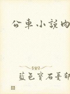 公车小说肉