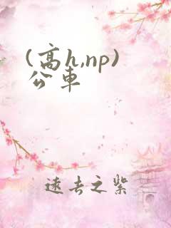 (高h,np)公车