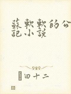 苏软软的公交日记小说