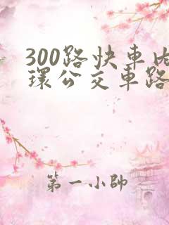 300路快车内环公交车路线