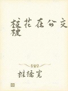 校花在公交车上被