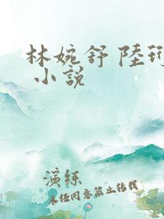 林婉舒 陆珩宇 小说