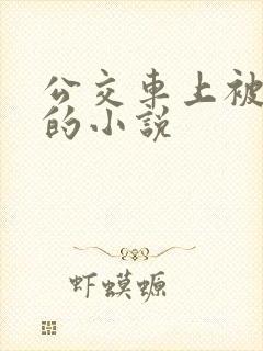 公交车上被高潮的小说