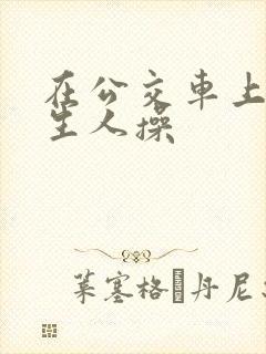 在公交车上被陌生人操