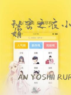 秘密之夜小说小娟