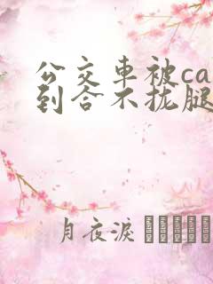 公交车被cao到合不拢腿漫画0