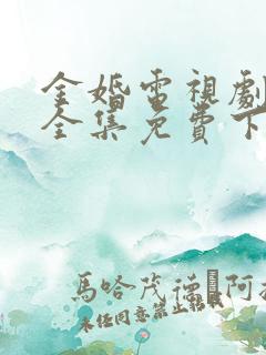 金婚电视剧在线全集免费下载