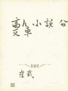 高h 小说 公交车