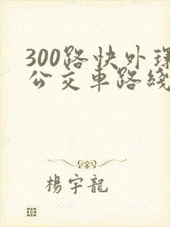300路快外环公交车路线图