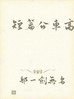 短篇公车高h
