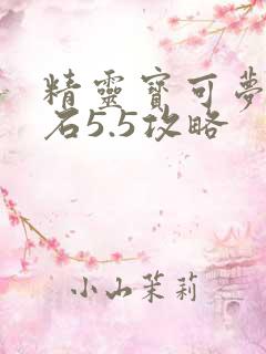 精灵宝可梦绿宝石5.5攻略