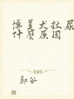 博美犬拉尿很黄什么原因