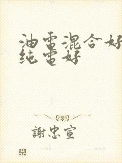油电混合好还是纯电好