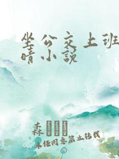 坐公交上班的苏晴小说