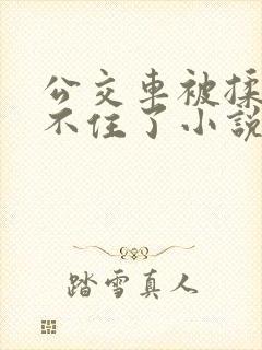 公交车被揉到忍不住了小说