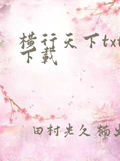 横行天下txt下载