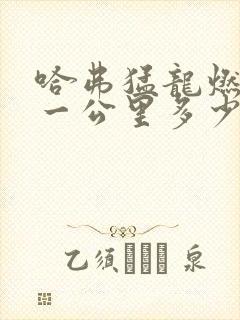 哈弗猛龙燃油版一公里多少钱