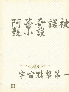 阿蕾奇诺被性调教小说