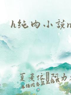 h纯肉小说np