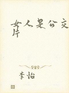 女人是公交车影片