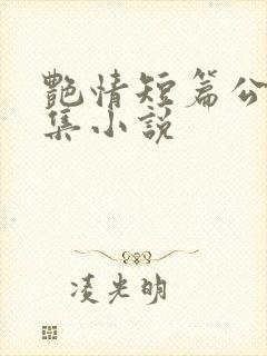 艳情短篇公车合集小说