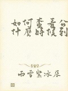 如何查看公交车什么时候到站