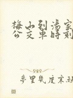 梅山到汤家汇镇公交车时刻表