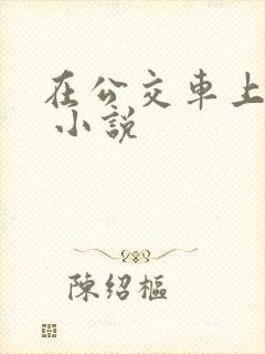 在公交车上被h 小说