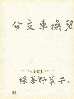 公交车操儿媳妇