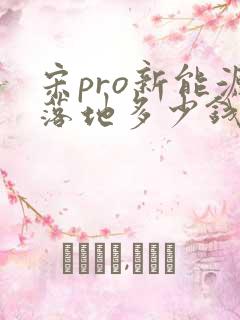 宋pro新能源落地多少钱