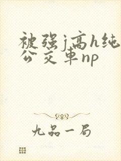 被强j高h纯肉公交车np