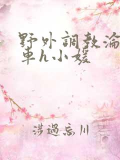 野外调教沦为公车h小媛