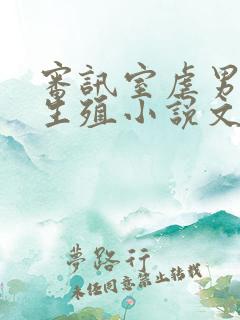 审讯室虐男军官生殖小说文