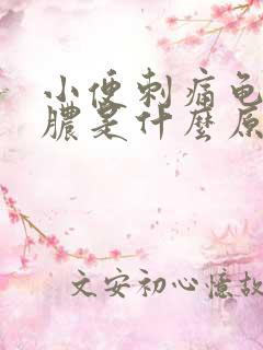 小便刺痛龟头流脓是什么原因