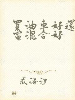 买油车好还是油电混合好