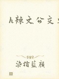 h辣文公交车