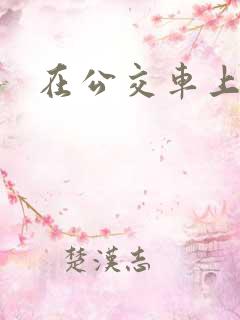 在公交车上干