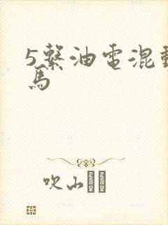 5系油电混动宝马